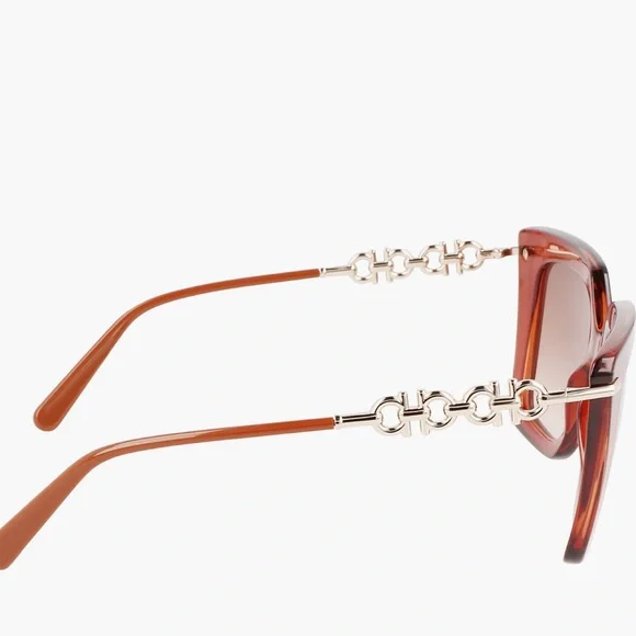 NWT Salvatore Ferragamo Brown Sunglasses - Picture 4 of 7
